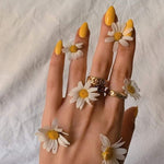 Muscari Premium Nail Paint and Polish for All | Glossy, Quick-Dry & Chip Resistant | Gel Nail Paint |10 ML (Marigold Magic-20)